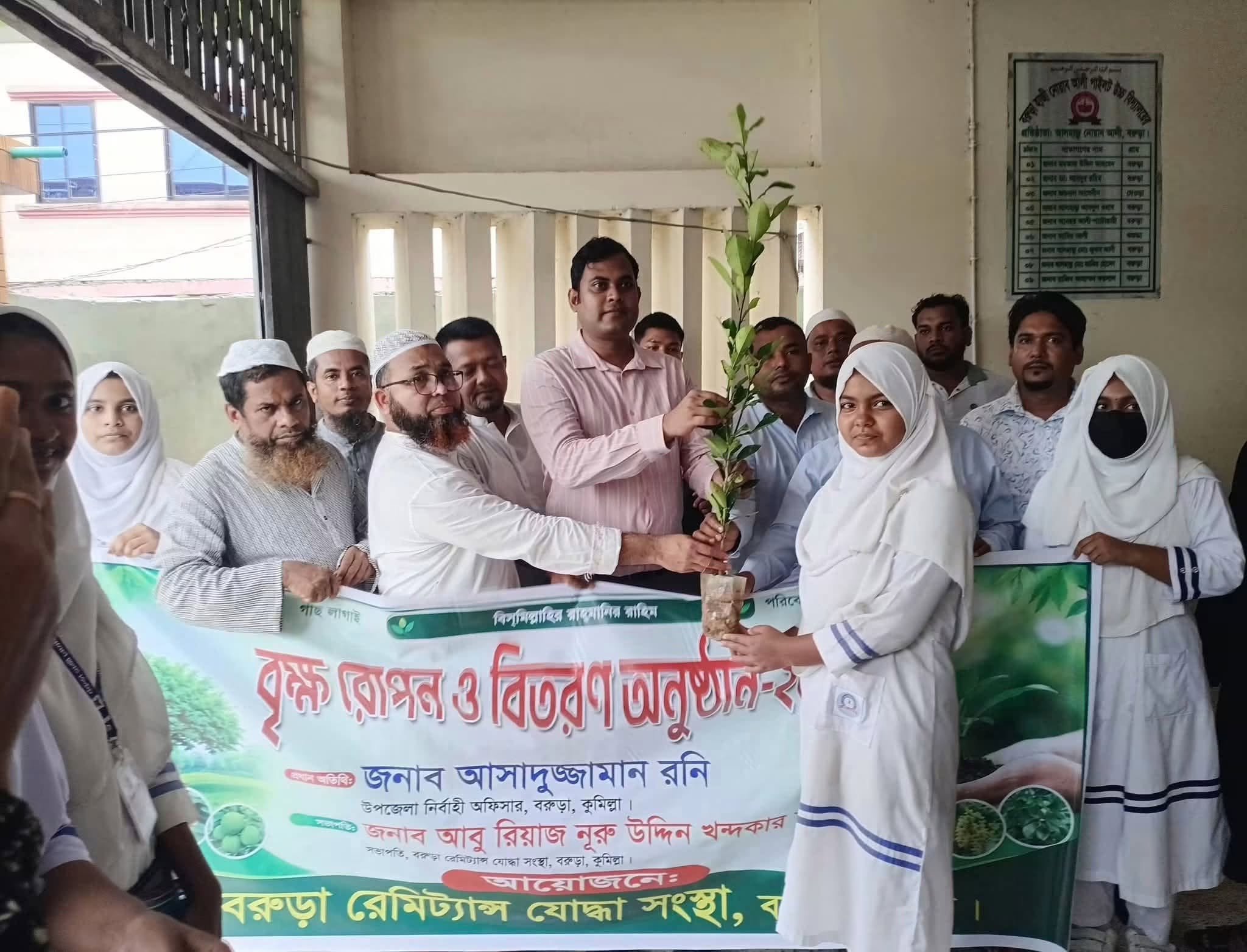 Tree Plantation